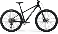 BIG.NINE TR 700 Metallic Black(Silver)