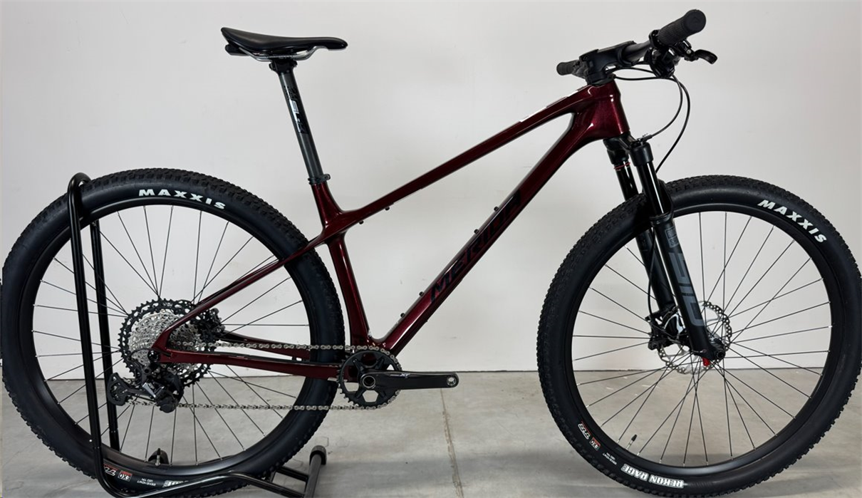 BIG.NINE XT Burgundy Red(Black/Silver) L - BAZAR