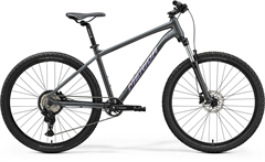 BIG.SEVEN 20 Dark Grey (Purple) 