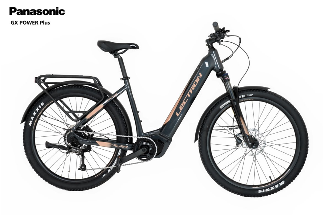 LECTRON - Taura PX 20Ah 19"