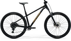 MERIDA BIG.TRAIL 300 Black(Brown)